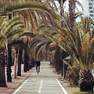 Visiter Barcelone en groupe en vélo